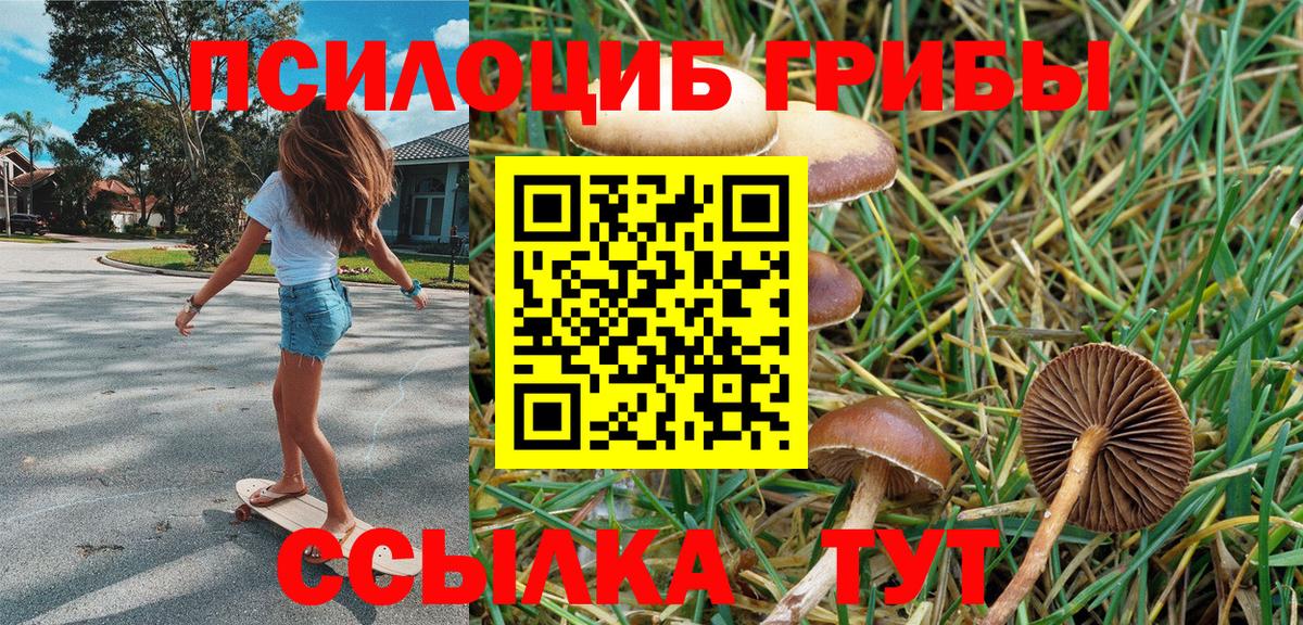 Галлюциногенные грибы мицелий Чехов