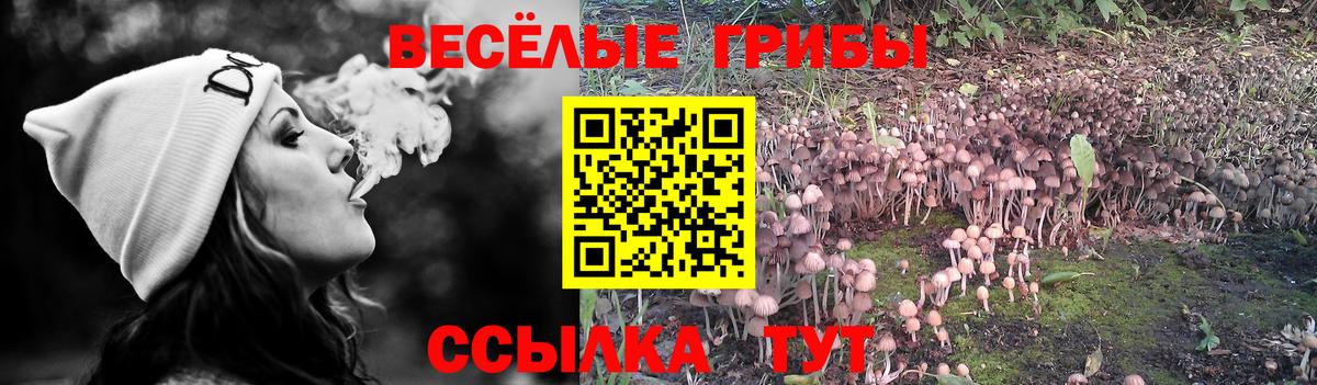 Псилоцибиновые грибы мухоморы  Вход с VPN  где продают   Чехов 
